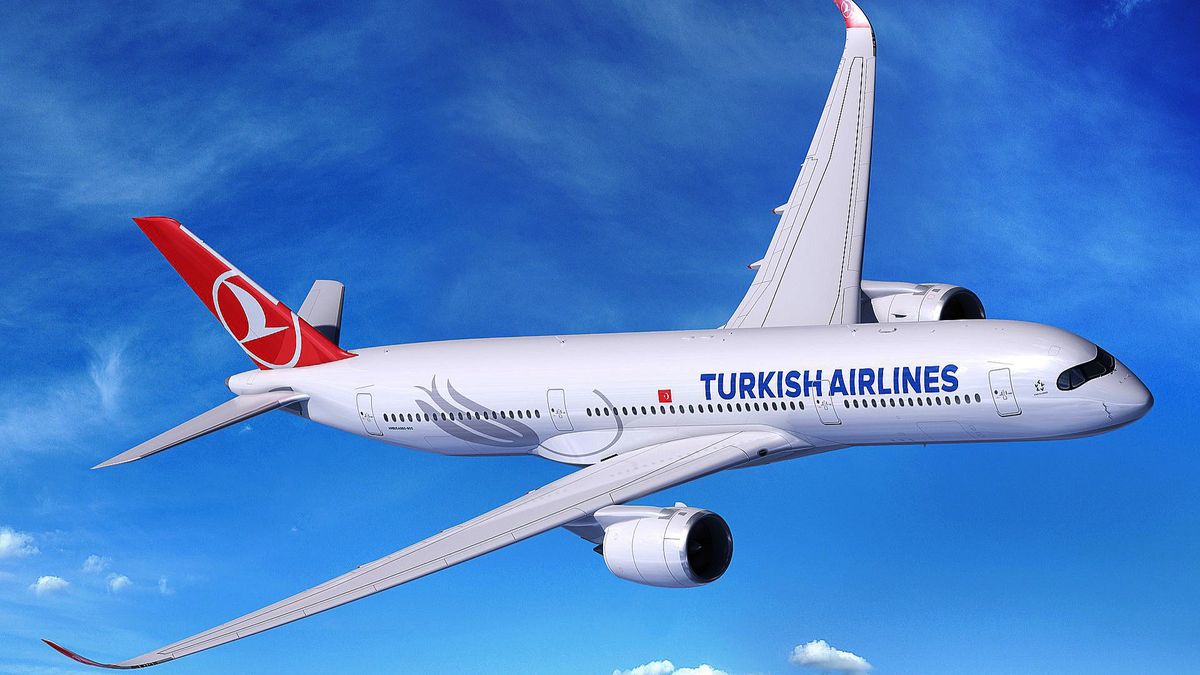 Turkish Airlines Un Piloto Muri En Pleno Vuelo Y El Avi N Debi