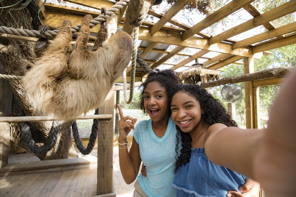 Kissimmee: una experiencia única en Florida Kissimmee: una experiencia única en Florida
