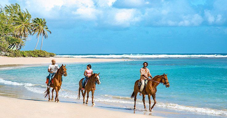 Además de conocer las mejores playas de Barbados, les proponemos una serie de actividades complementarias.