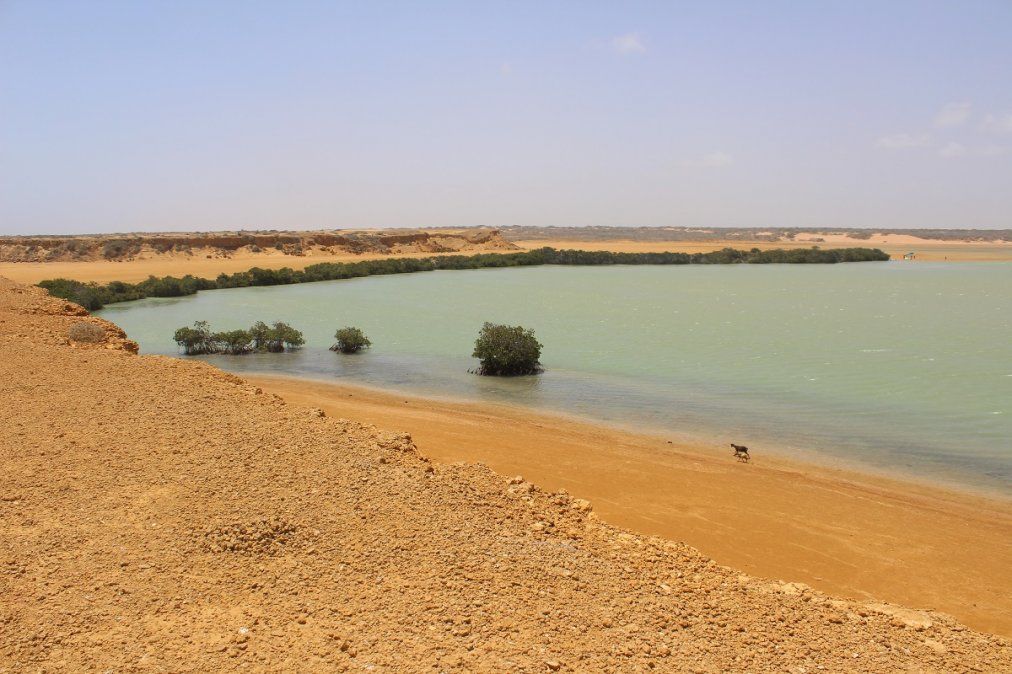 Postales de La Guajira. Postales de La Guajira.