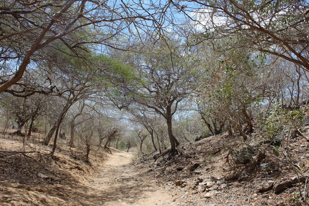 Postales de La Guajira. Postales de La Guajira.