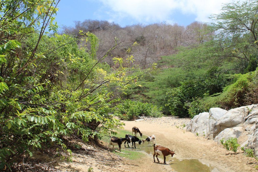 Postales de La Guajira. Postales de La Guajira.