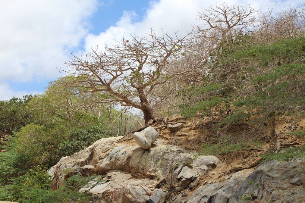 Postales de La Guajira. Postales de La Guajira.