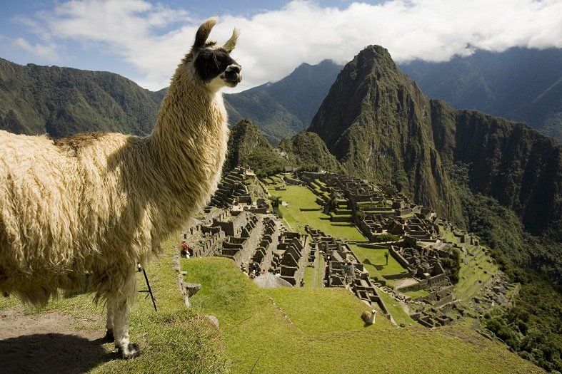 Machu Picchu Per&uacute;