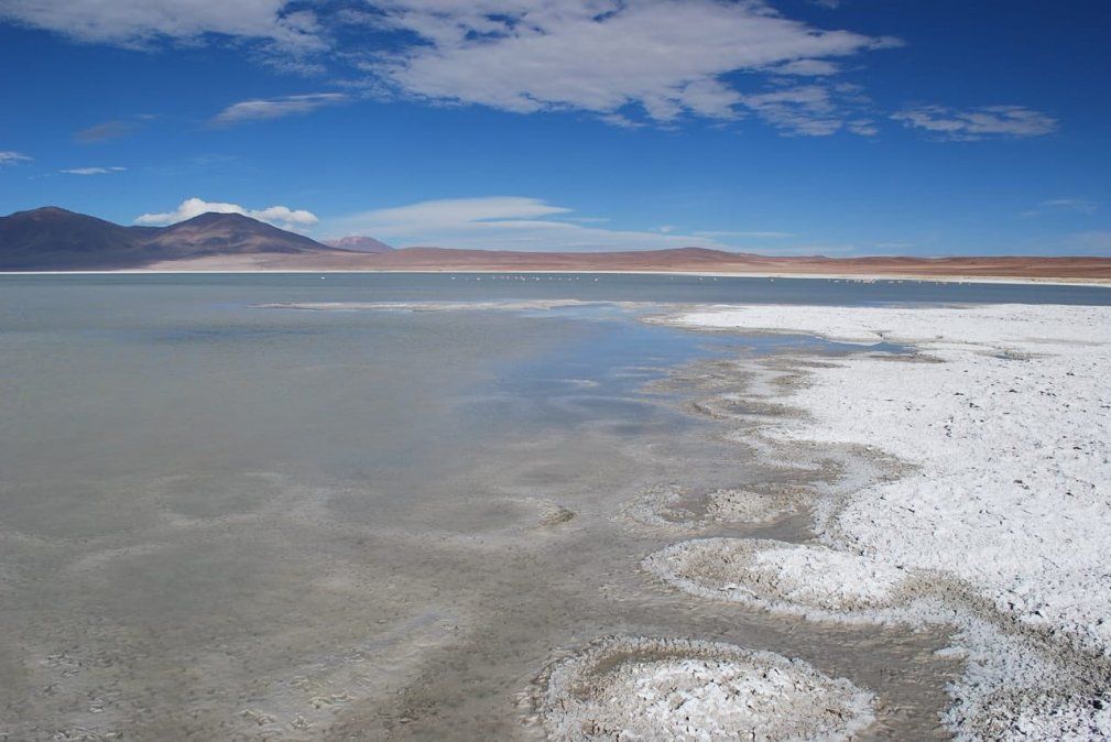 Salar del Huasco es uno de los nuevos Parque Nacionales anunciados por el Gobierno.