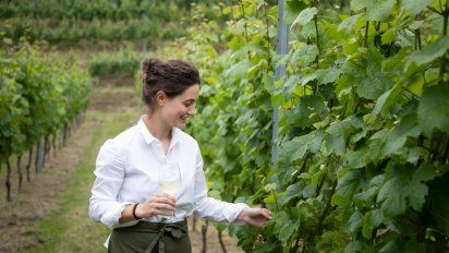 Los programas son avalados por Bodegas de Argentina y Wine in Moderation Argentina.