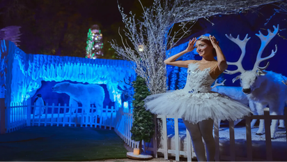 Disfruta todo lo que tiene Guadalajara esta Navidad para ti.