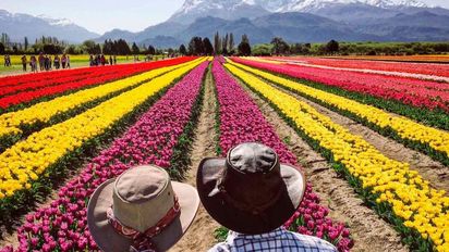 Descubre Trevelin: el impresionante pueblo galés de la Patagonia famoso por sus tulipanes