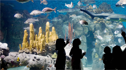 Vacaciones de invierno: 5 parques a menos de 1 h. de Buenos Aires