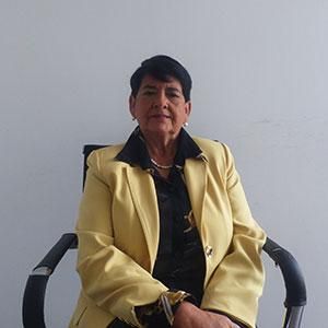 - Ladevi Medios y Soluciones