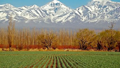Durante el primer fin de semana largo de junio, que fue del sábado 15 al lunes 17, Mendoza presentó 62% de ocupación promedio en todas las modalidades de alojamiento.&nbsp;