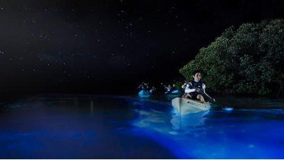 Por los cuatro puntos cardinales