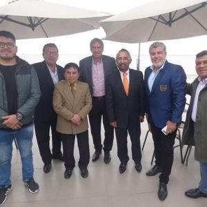 - Ladevi Medios y Soluciones