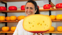 Escapadas de fin de semana largo: el evento para los amantes del queso que se puede disfrutar gratis.