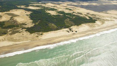 Descubrí la playa de la Costa Atlántica que es una reserva mundial y sorprende con su naturaleza y tranquilidad.&nbsp;