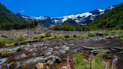 5 planes ideales para hacer en Bariloche este verano