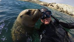 altText(Puerto Madryn: 5 excursiones para aprovechar con PreViaje)}