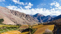 altText(Chile potencia sus rutas del pisco)}