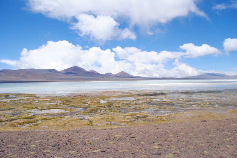 La laguna Brava está rodeada de numerosos picos volcánicos y cuenta con una imponente flora y fauna. - Viajando La laguna Brava está rodeada de numerosos picos volcánicos y cuenta con una imponente flora y fauna.