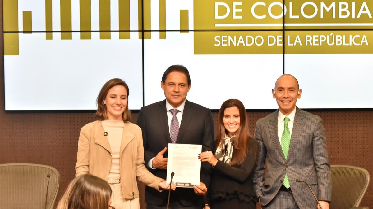La iniciativa del Senado contempla exenciones adicionales del IVA al 0% durante un fin de semana al mes para impulsar las vacaciones de fin de año.