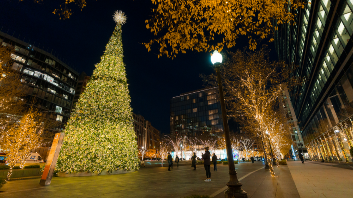 En Washington, D.C., Brand USA le sugiere a los viajeros conocer el Árbol Nacional de Navidad. En Washington, D.C., Brand USA le sugiere a los viajeros conocer el Árbol Nacional de Navidad.