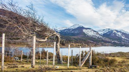 (Claudio Osorio y Johanna Cárdenas)