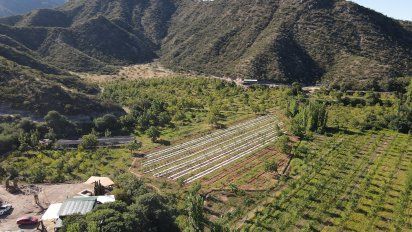 Desde UNGE Cultivos Sostenibles proponen ser parte de este polo cannábico fusionando la experiencia del cultivo y la gastronomía.