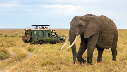 Los safaris en África son una actividad tan especial como única.