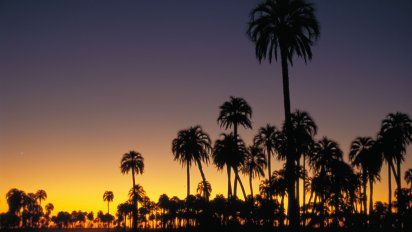 El Parque Nacional El Palmar es uno de los grandes atractivos de la región Litoral en Argentina, protagonista de la nueva entrega de Inprotur.