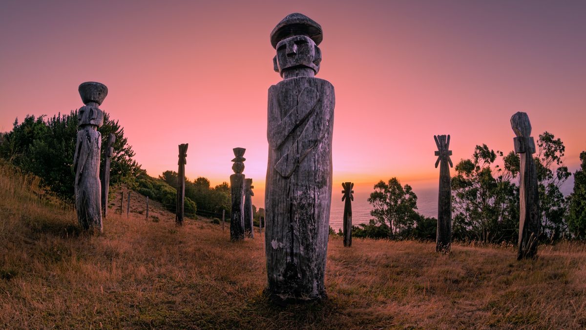 Ganador a mejor fotografía: Patricio Rosas Chemamules, Inalafken, Tirúa.