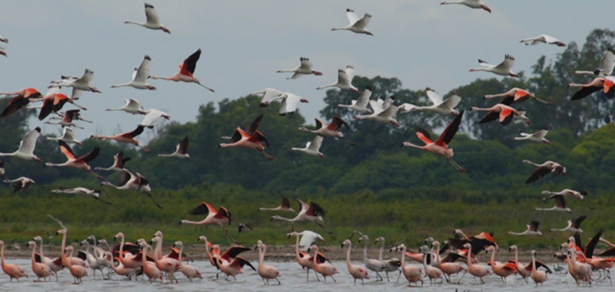 Parque Nacional Ansenuza.