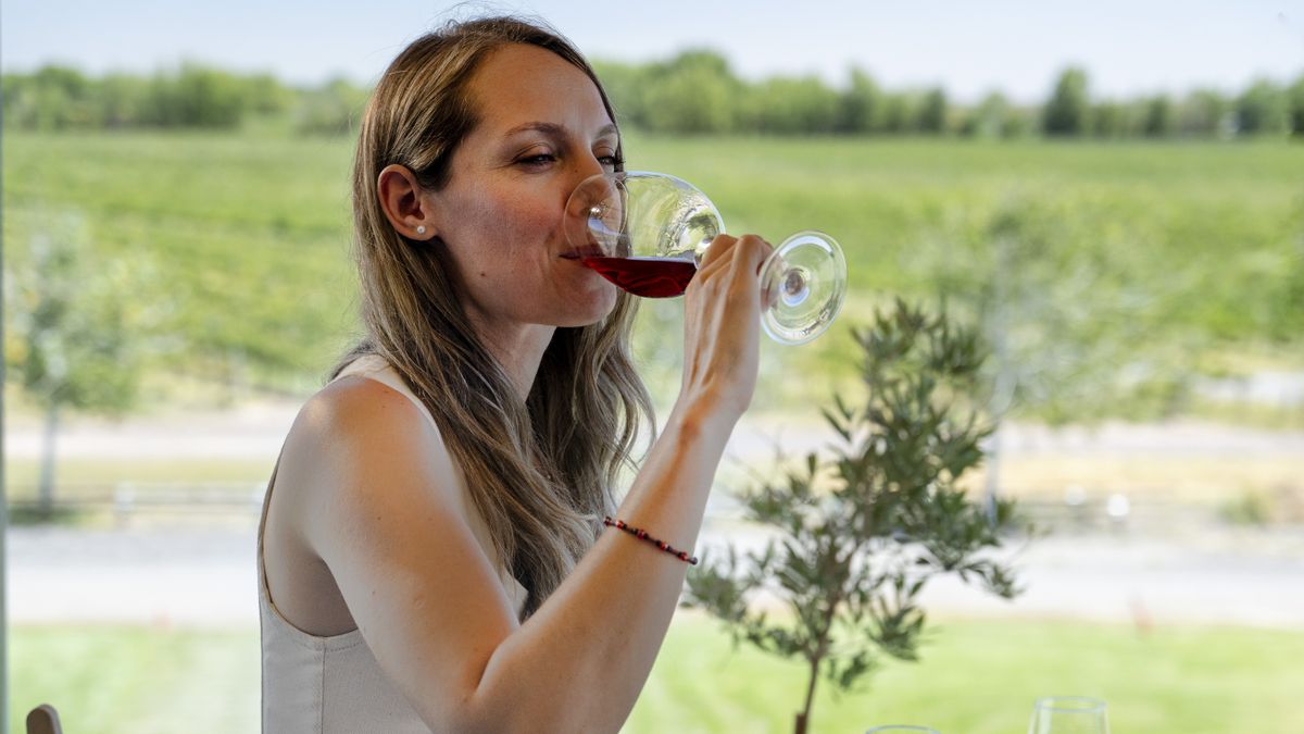 Neuquén sobresale por la calidad de sus Malbec, Cabernet Franc, Merlot, Chardonnay y Sauvignon Blanc, variedades que encuentran en los suelos patagónicos un entorno privilegiado.