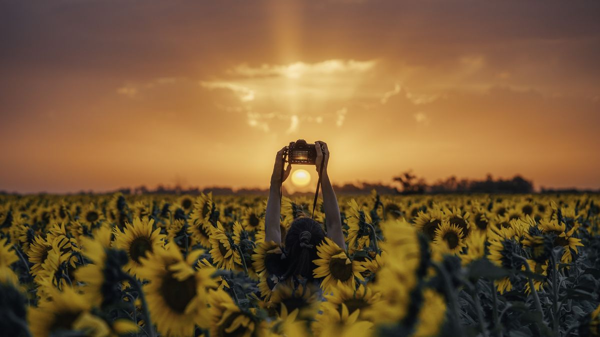 La Pampa invita a los viajeros a vivir jornadas de aire puro, fiestas tradicionales y hermosos paisajes.