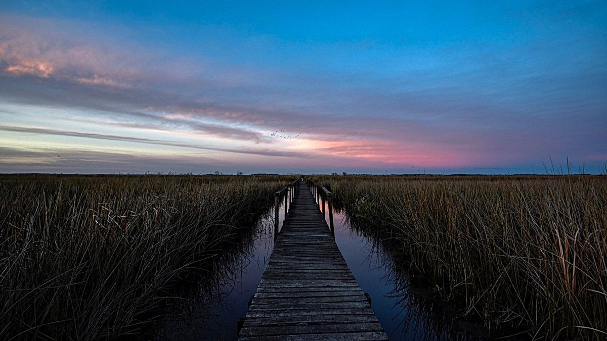 Pasá Semana Santa en contacto con la naturaleza en estas bellísimas áreas protegidas de la Provincia de Buenos Aires.