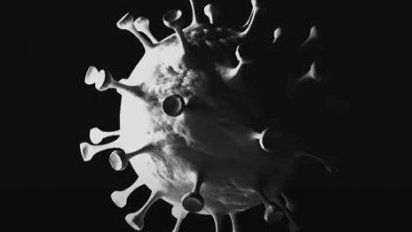 La OMS recomendó que se aligeren las restricciones de viaje producto del Covid.