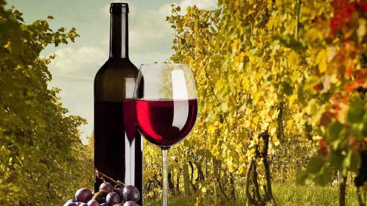 Te proponemos 5 etiquetas de cabernet sauvignon para brindar en el día de esta cepa que da origen a algunos de los vinos más apreciados del mundo.