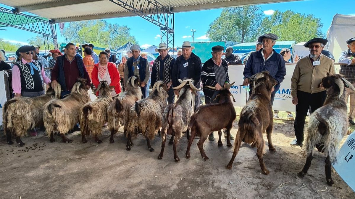 Escapadas: Fiesta Provincial del Chivito es un encuentro cargado de tradiciones en La Pampa.