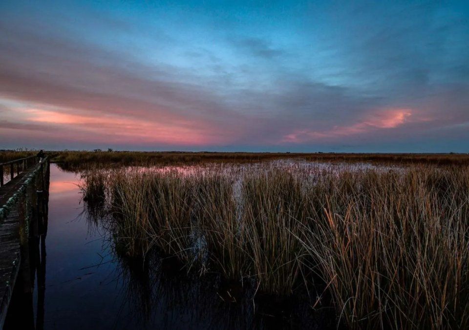 El Parque Nacional Ciervo de los Pantanos de Buenos Aires es ideal para hacer tus escapadas de fin de semana entre la naturaleza. El Parque Nacional Ciervo de los Pantanos de Buenos Aires es ideal para hacer tus escapadas de fin de semana entre la naturaleza.