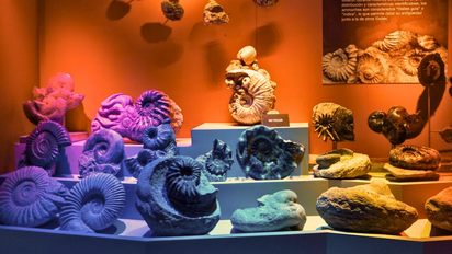 El Museo del Desierto es un imperdible en Saltillo.