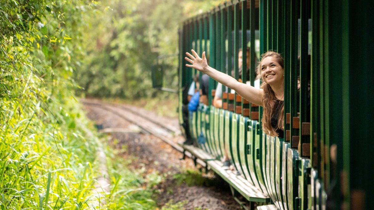 Parques nacionales de Argentina: te invitamos a conocer cuáles son y dónde se encuentran.