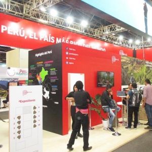 - Ladevi Medios y Soluciones