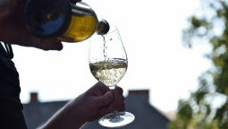 En la provincia de Córdoba se elabora vino desde hace 400 años.&nbsp;