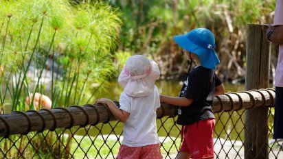 ¿Qué hacer en Temaikèn en verano?