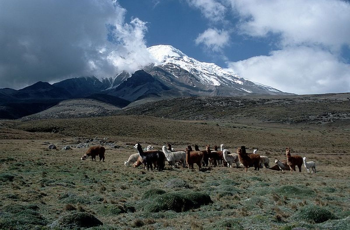 Dentro de los planes para 2024, el Ministerio de Turismo anunció la creación de tres corredores seguros, uno de ellos ubicado en el centro de la región Sierra. - Ladevi Medios y Soluciones Dentro de los planes para 2024, el Ministerio de Turismo anunció la creación de tres corredores seguros, uno de ellos ubicado en el centro de la región Sierra.