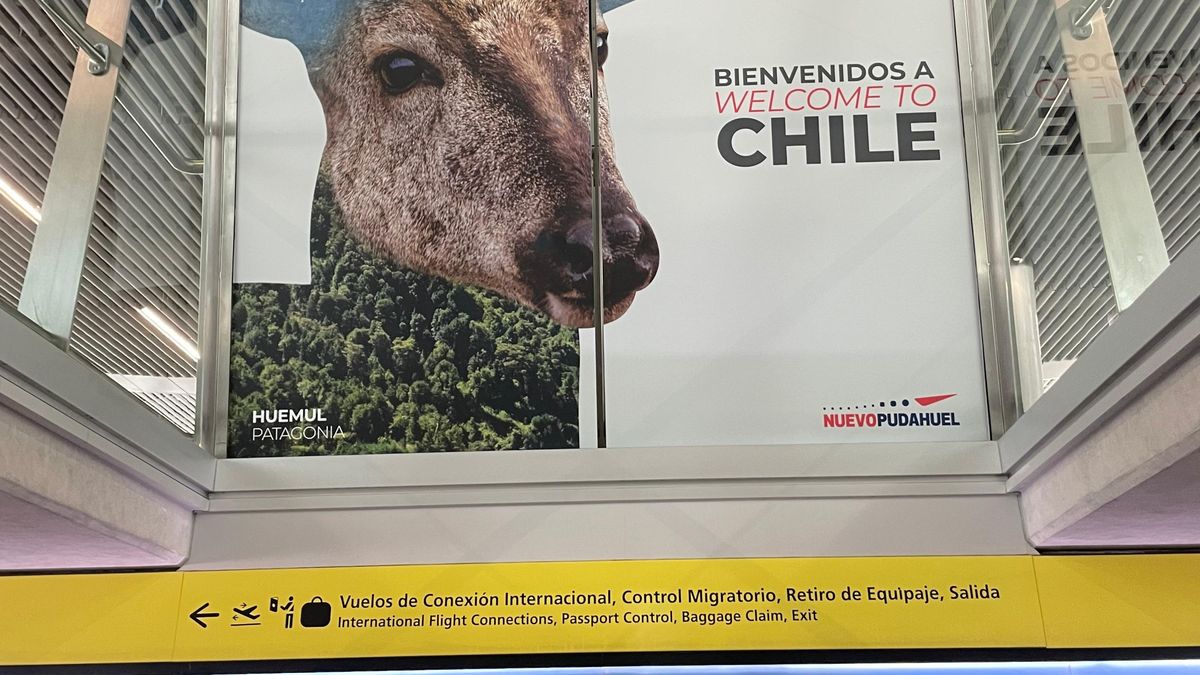 Diseño del sector está inspirado en la Patagonia.