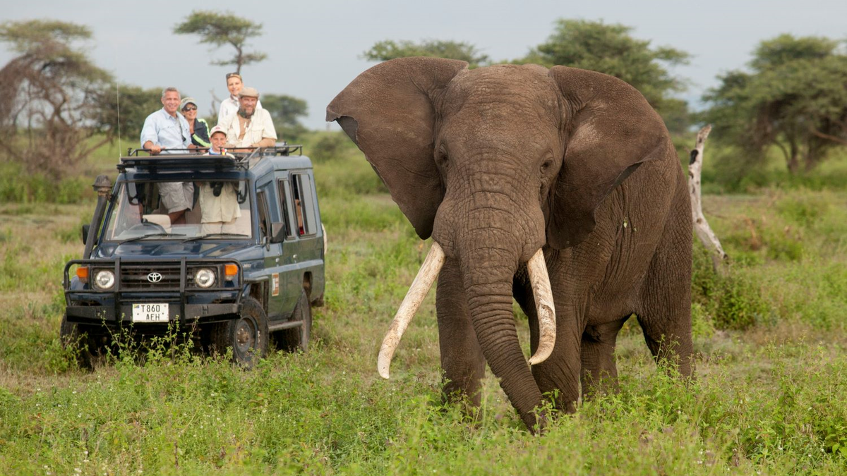 Sudáfrica es uno de los paises más emocionantes del mundo para hacer viajes en África y en el mundo.