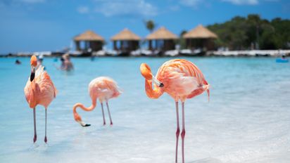 La playa Flamencos en Cayo Coco.