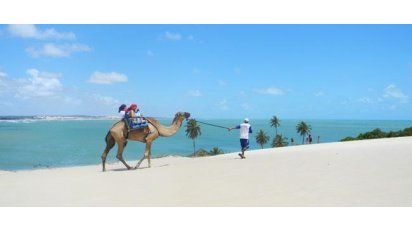 Pipa: atractiva, bohemia y romántica