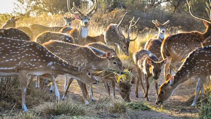 Escapadas: la pintoresca reserva natural en las sierras de Córdoba a 80 kilómetros de la capital