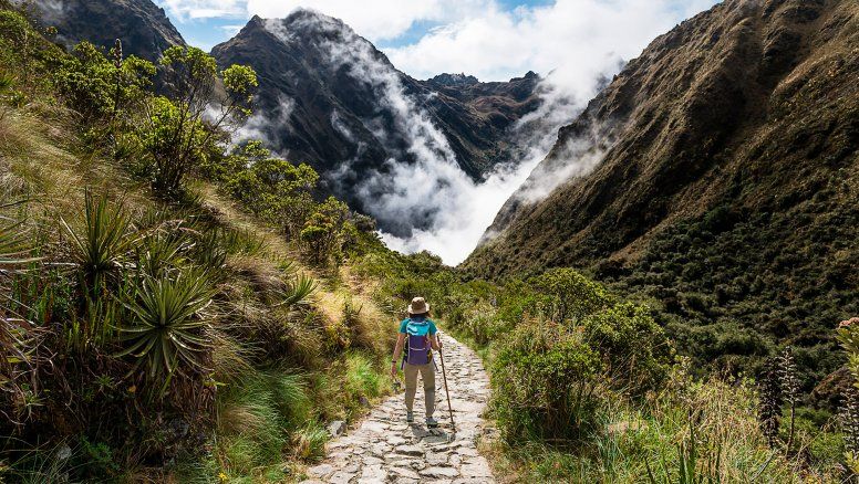 Autoridades de Cusco y Sernanp realizaron vacunación masiva a 400 porteadores que operan en la ruta del Camino Inca de Machu Picchu.